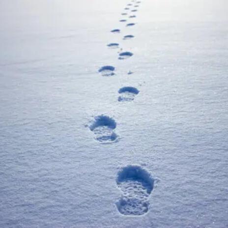 Footprints in the Snow | Boomplay Music