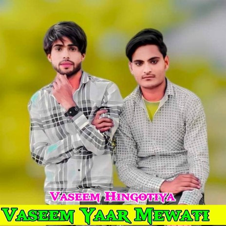 Vaseem Yaar Mewati | Boomplay Music