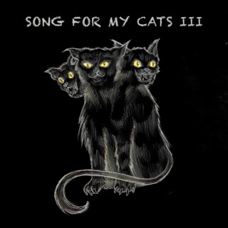 Song For My Cats III lyrics | Boomplay Music