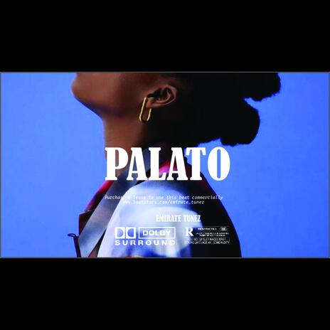 PALATO || AFROBEAT TRACK | Boomplay Music