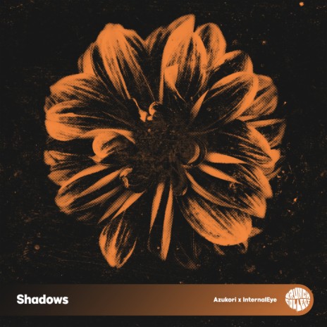 Shadows ft. InternalEye | Boomplay Music