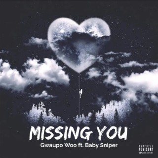 Missing You (feat. Baby Sniper)