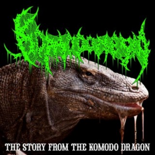 The Story from The Komodo Dragon