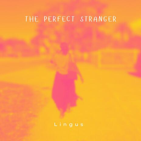 The Perfect Stranger | Boomplay Music