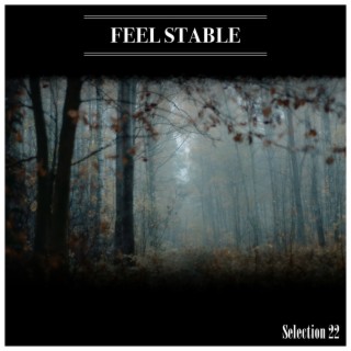 Feel Stable Selection 22