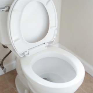 Toilet Flush Sound