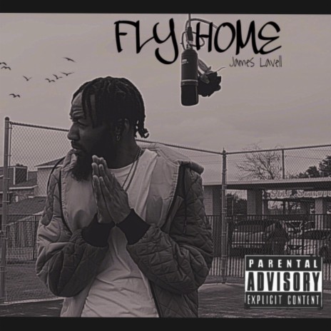 FLY HOME | Boomplay Music