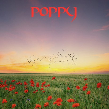 Papaver | Boomplay Music