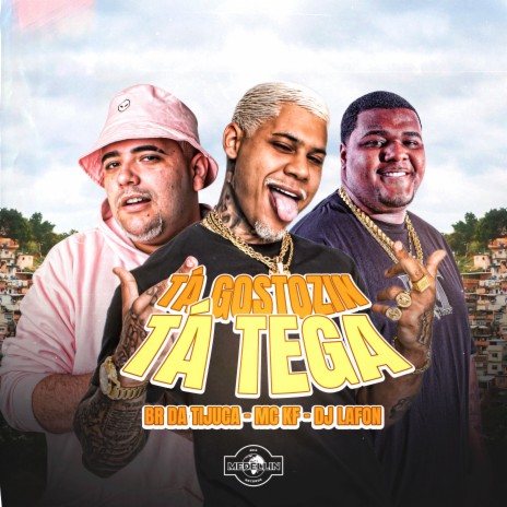 Tá Gostozin, Tá Tega ft. BR DA TIJUCA & DJ Lafon Do Md | Boomplay Music