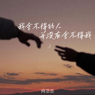 我舍不得的人并没有舍不得我 lyrics | Boomplay Music