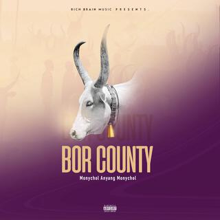 Bor County