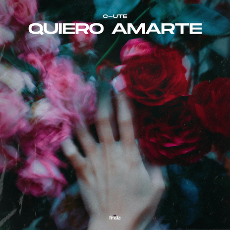 Quiero Amarte | Boomplay Music