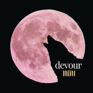 Devour lyrics | Boomplay Music