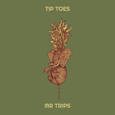 Tip Toes | Boomplay Music