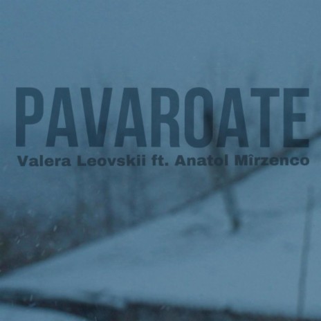 Pavaroate ft. Anatol Mîrzenco | Boomplay Music
