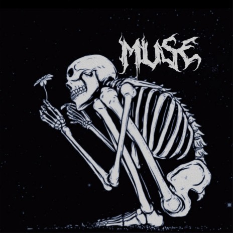 Muse | Boomplay Music