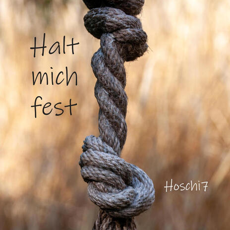 Halt mich fest | Boomplay Music