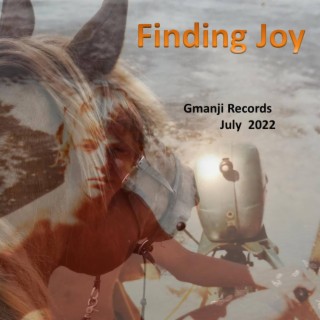 Finding Joy lyrics | Boomplay Music