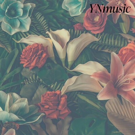 YNmusic part2 | Boomplay Music