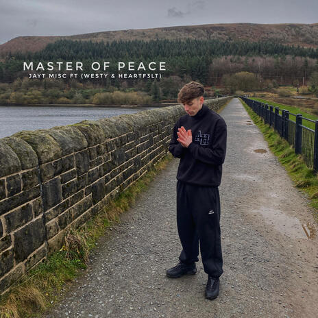 MASTER OF PEACE ft. Westy & Heartf3lt | Boomplay Music