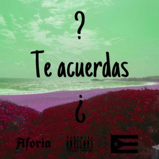 Te Acuerdas ?