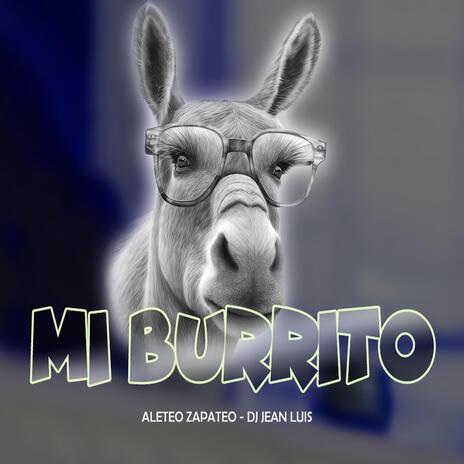 Mi Burrito (Aleteo Zapateo) | Boomplay Music