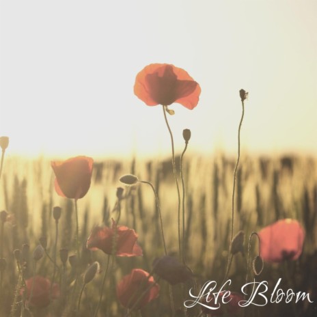 LIFE BLOOM