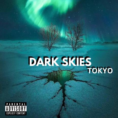 Dark Skies | Boomplay Music