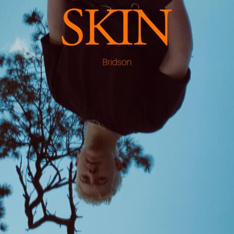 SKIN | Boomplay Music