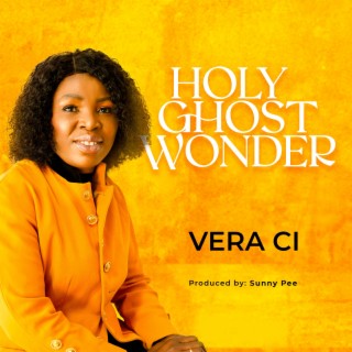 Holy Ghost Wonder lyrics | Boomplay Music