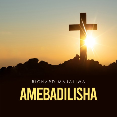 Amebadilisha | Boomplay Music