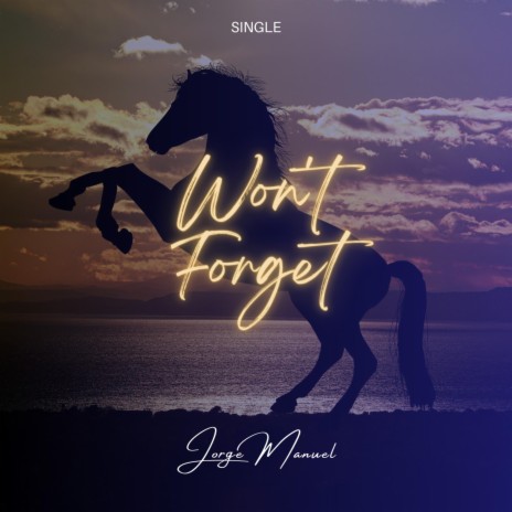 Won't Forget | Boomplay Music