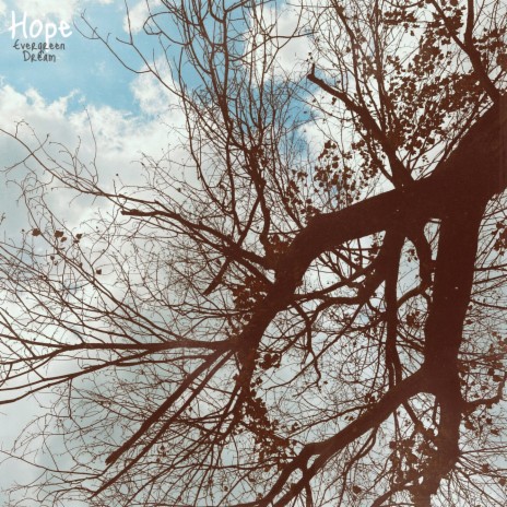 Hope | Boomplay Music