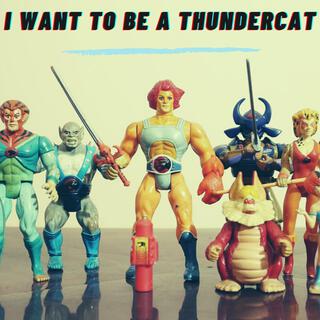 I Want To Be A Thundercat