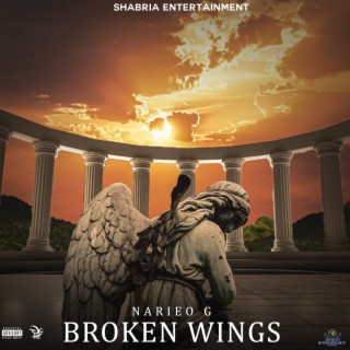 Broken Wings