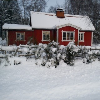 Snowflakes dancing