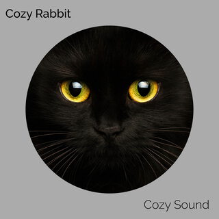 Cozy Sound