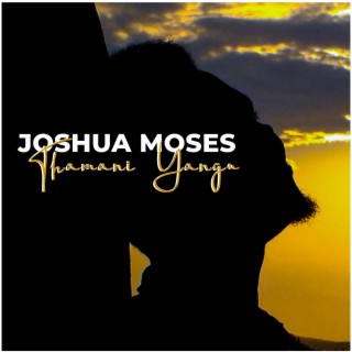 Joshua E Moses