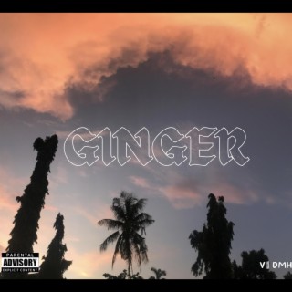 Ginger