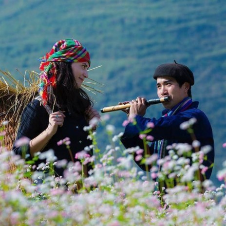 Bắc Giang Ân Tình | Boomplay Music