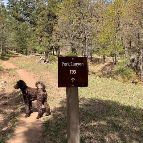 When It Rains In Ruidoso | Boomplay Music