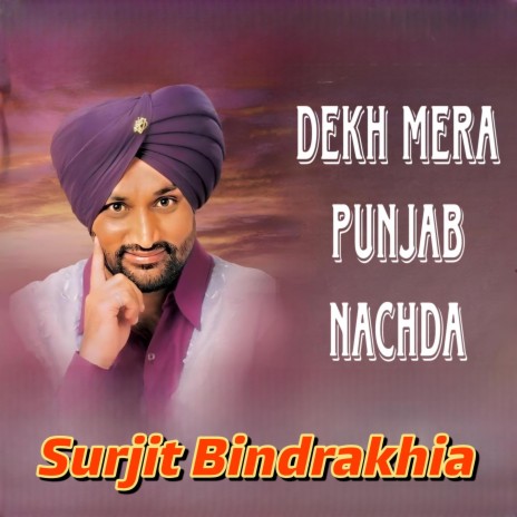 Dekh Mera Punjab Nachda | Boomplay Music