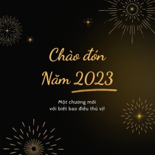 Nhạc Xuân Bolero - Chào 2023