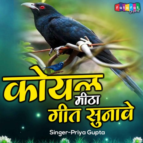 Koyal Mitha Geet Sunave | Boomplay Music