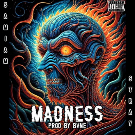 MADNESS ft. Stray | Boomplay Music