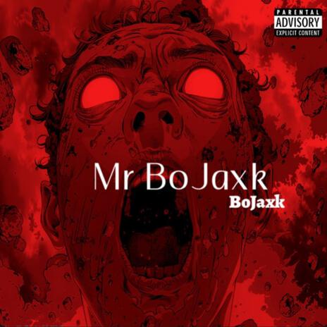 Mr BoJaxk