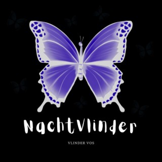 NACHTVLINDER