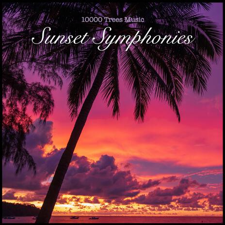 Sunset Symphonies