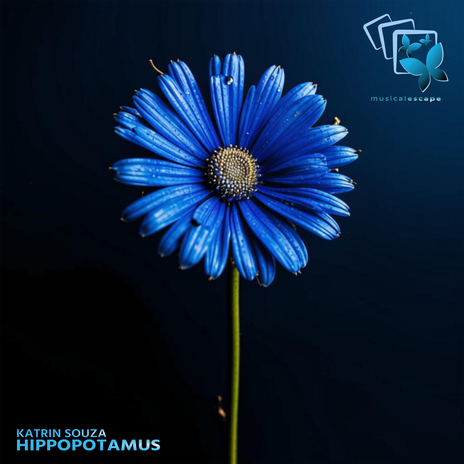 Hippopotamus (Original mix) | Boomplay Music