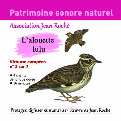 Alouette lulu-Lullula arborea_juin 1992 (Protéger et diffuser l'oeuvre de Jean roché) | Boomplay Music